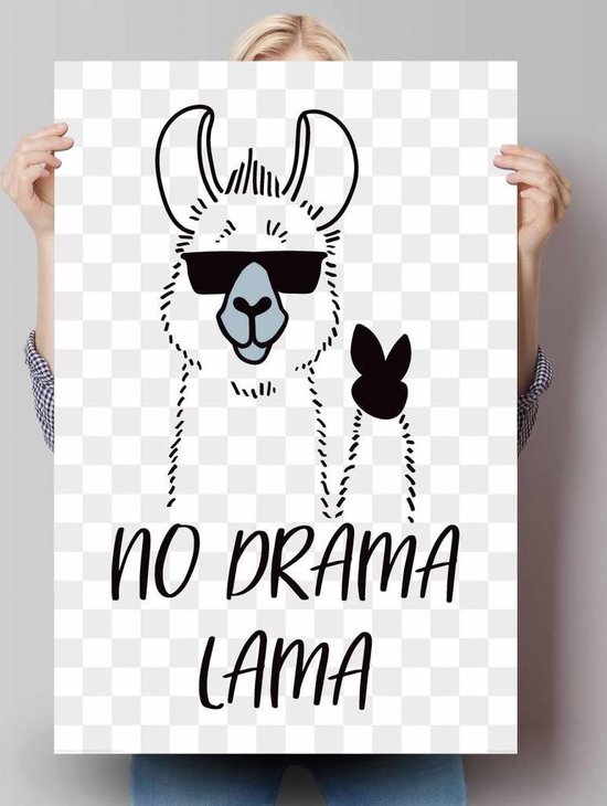 Poster No Drama Lama 91,5x61 cm