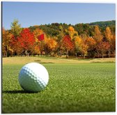 Dibond - Golfbal op Gras met Bomen - 50x50cm Foto op Aluminium (Wanddecoratie van metaal)