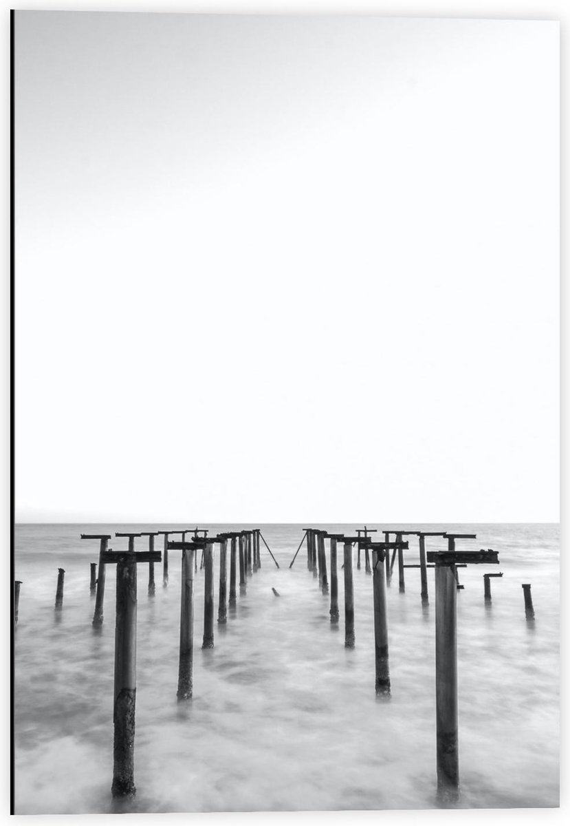 Dibond - Palen in het Water Zwart - Wit - 40x60cm Foto op Aluminium (Wanddecoratie van met