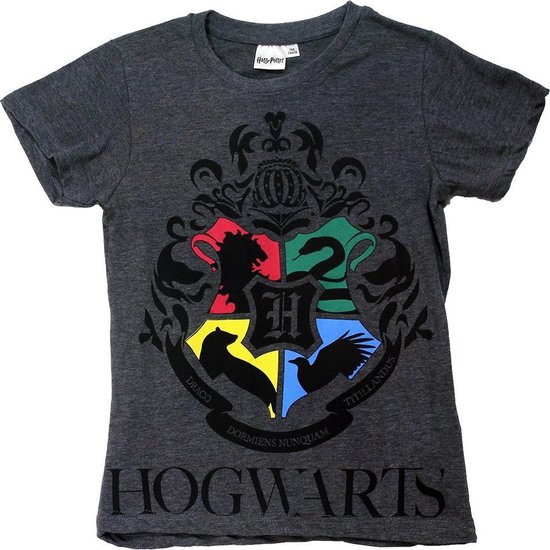 F4NT4STIC HARRY POTTER HERMIONE GRANGER WINGARDIUM LEVIOSA JUNIOR - T-shirt print - heather grey/grijs