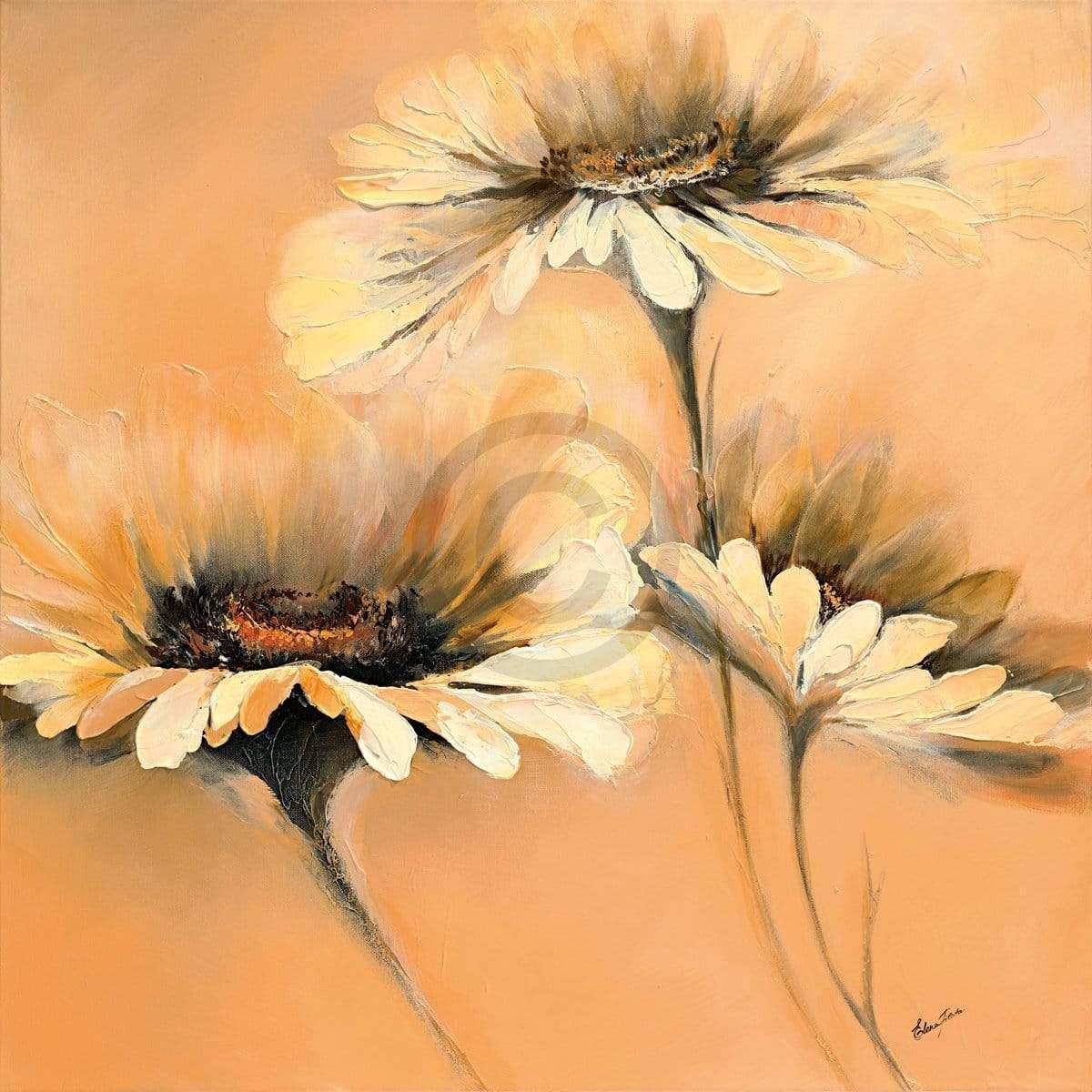 PGM Kunstdruk Elena Filatov - Apricot Summer I 70x70cm Divers