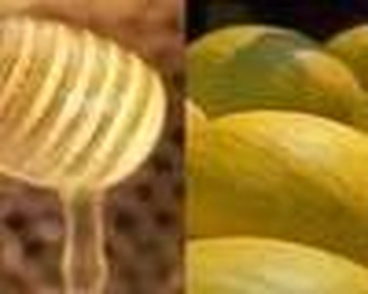 Sauna opgietmiddel Honing Meloen 300ML - Sauna opgietconcentraat Honing Meloen - Sauna opgiet geur - sauna accessoires