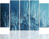 Schilderij , Paardebloem met waterdruppels , 4 maten , 5 luik , blauw wit , Premium print ,XXL
