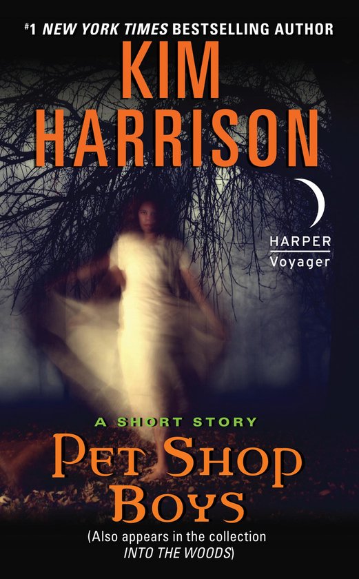 A Hollows Novella 12 - Pet Shop Boys - cover