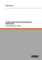 Praktikumsbericht Zum Fachpraktikum Mathematik