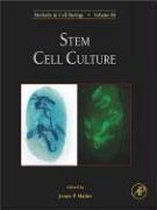 Stem Cell Culture
