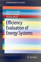 SpringerBriefs in Energy - Efficiency Evaluation of Energy Systems