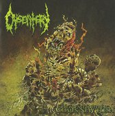 Dysentery - From Past Suffering Comes New Flesh