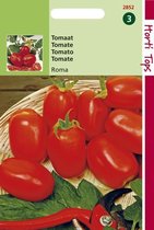 Hortitops Zaden - Tomaten Roma Vf