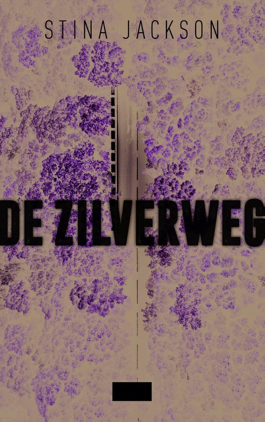 De zilverweg - cover