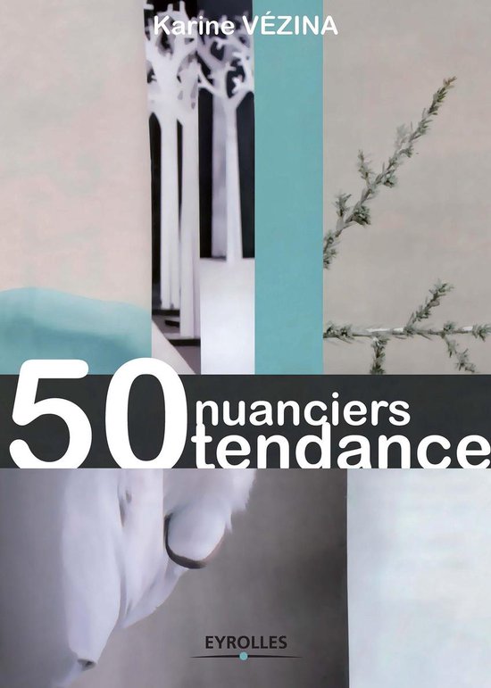 50 nuanciers tendance - cover