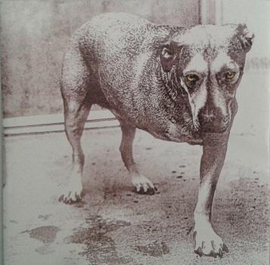 Alice in Chains
