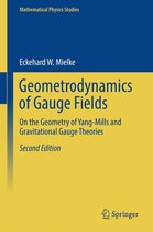Mathematical Physics Studies - Geometrodynamics of Gauge Fields