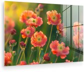 MuchoWow® Peinture sur verre 120x80 cm - Peinture sur verre acrylique - Champ de fleurs - Rayons de soleil - Oranje - Photo sur verre - Décoration murale salon - Décoration murale chambre - Peintures