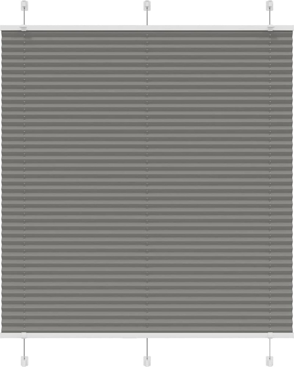 vidaXL - Plissé - rolgordijn - 120x100 - cm - stofbreedte - 119,4 - cm - antraciet