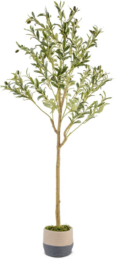 Plante Olijfboom artificielle de 150 cm – Arbre artificiel – Plante d'arbre artificielle – Olijfboom artificiel d'intérieur – Olijfboom artificiel d'extérieur – Comprend une lampe de coucher de soleil gratuite
