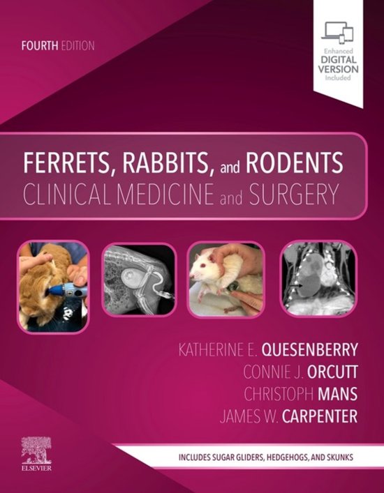 Ferrets, Rabbits and Rodents - E-Book - cover