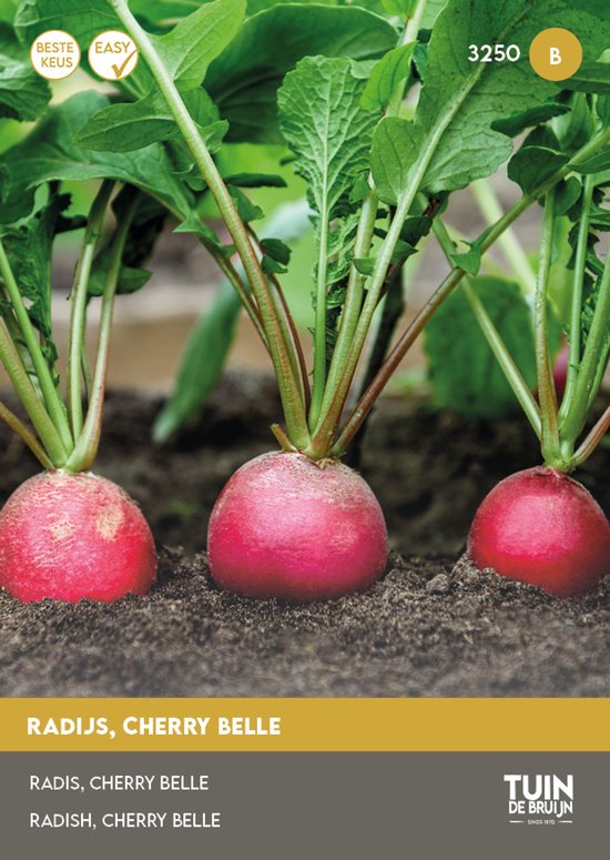 Radijs Cherry Belle Zaden