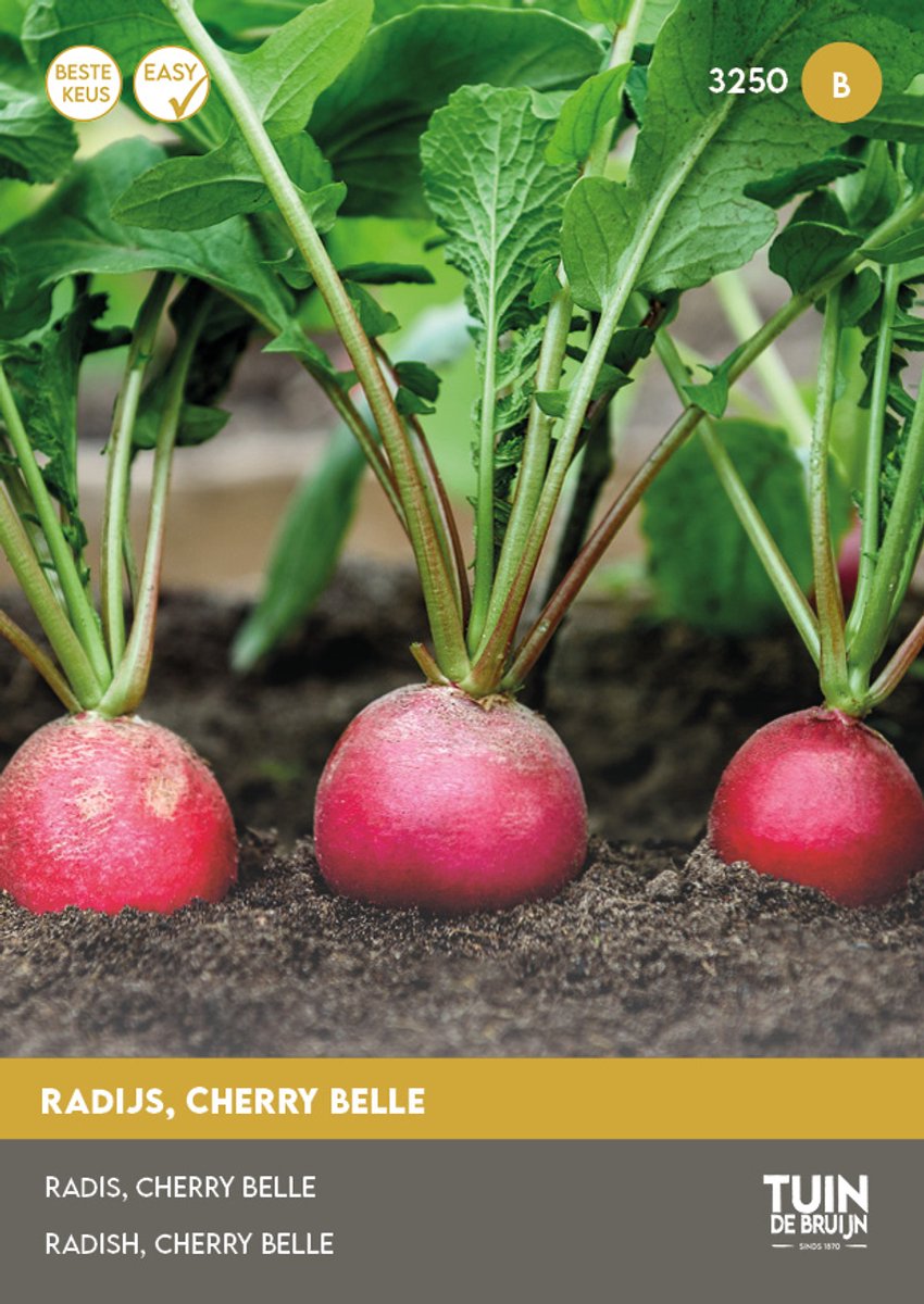 Radijs Cherry Belle Zaden – Ronde Radijs – Snelgroeiend – Groentezaden Moestuin | Tuin de Bruijn