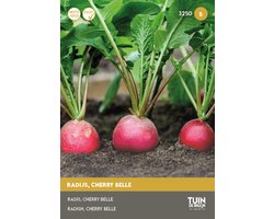 Tuin de Bruijn® zaden - Radijs Cherry Belle - Zeer eenvoudige teelt - produceert een overvloed aan radijsjes