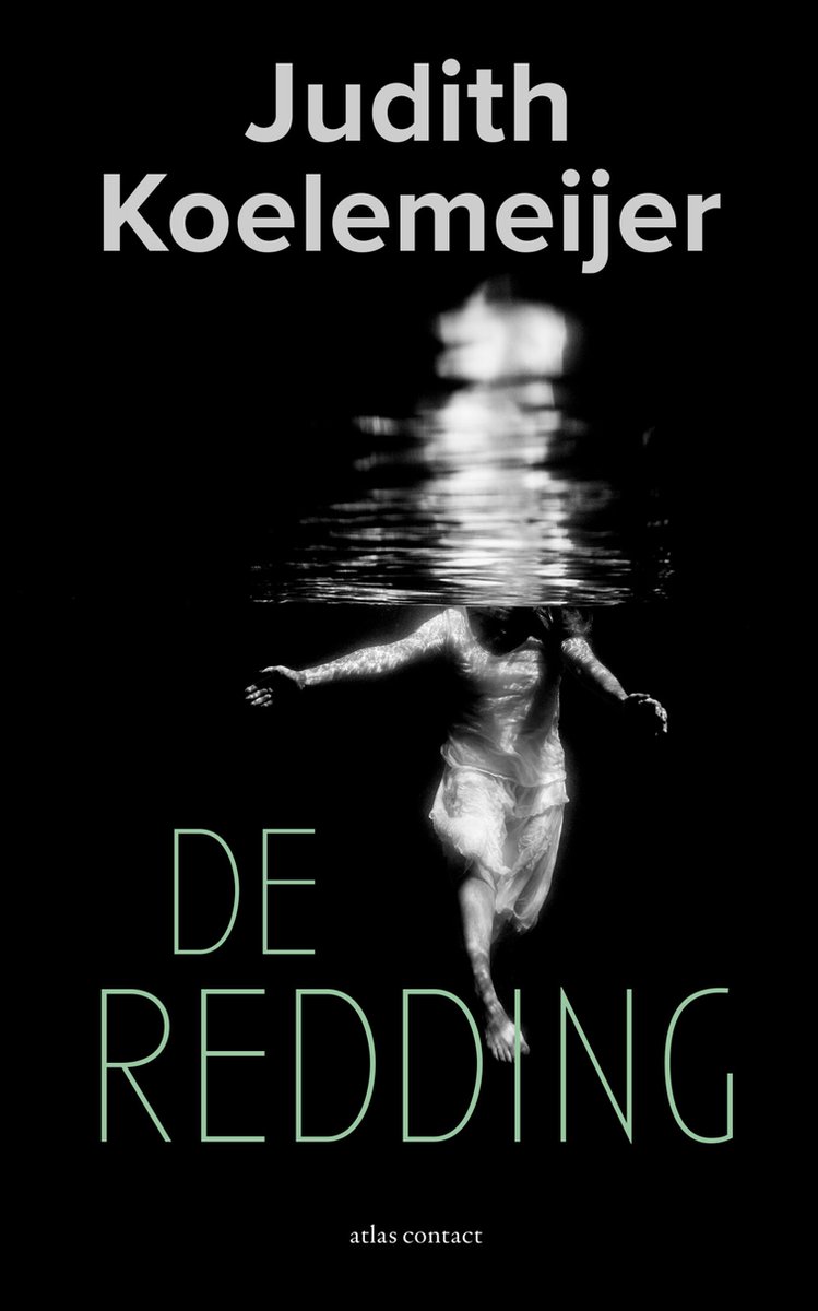 Omslag van De redding