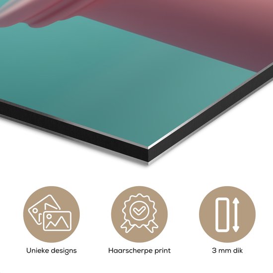 Tableau aluminium 40x60 cm - Décoration murale métal - Rouge-gorge - Vogel - Toque de chef - Plinthe - Décoration murale métal salon - Décoration industrielle - Photo sur dibond - Accessoires industriels chambre