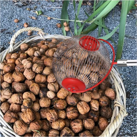 Notenverzamelaar - Notenverzamelaar, pecannotenverzamelaar, rolmoeren walnootverzamelaar, fruitplukker met telescoopsteel, notenroller voor buiten, tuinreinigingsgereedschap voor pecannoten
