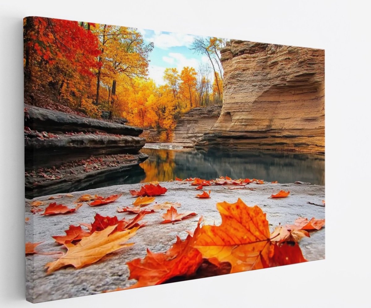 Saammp Canvas Schilderij - Rode Bladeren op steen - Natuur - Landschap - 45x30 - Foto op canvas - Wanddecoratie - Muurdecoratie Woonkamer - Slaapkamer decoratie - Canvas Print Multicolor