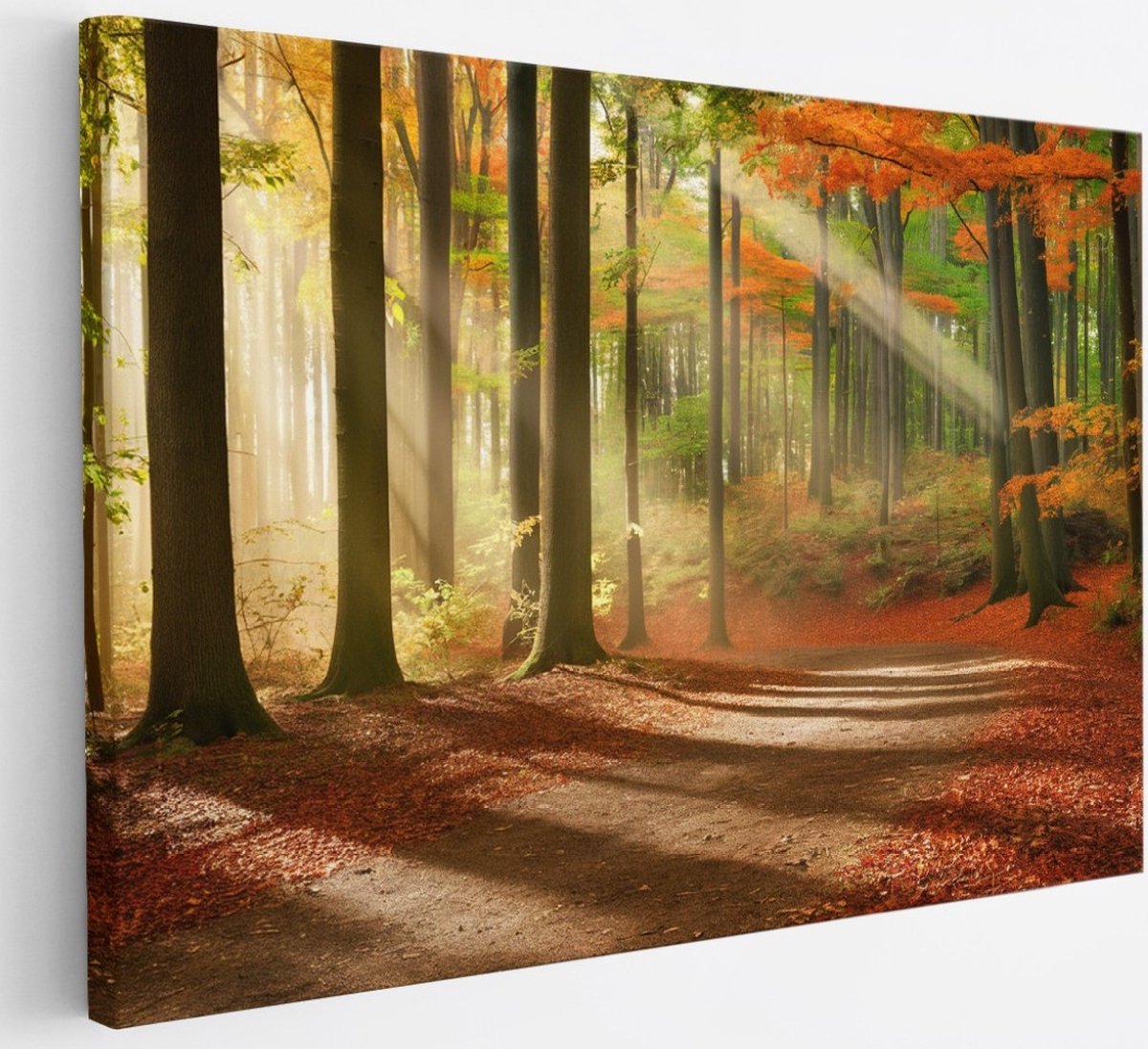 Saammp Canvas Schilderij - Pad door het bos - Herfst - Zon - Landschap - Natuur - 30x20 - Foto op canvas - Wanddecoratie - Muurdecoratie Woonkamer - Slaapkamer decoratie - Canvas Print Multicolor
