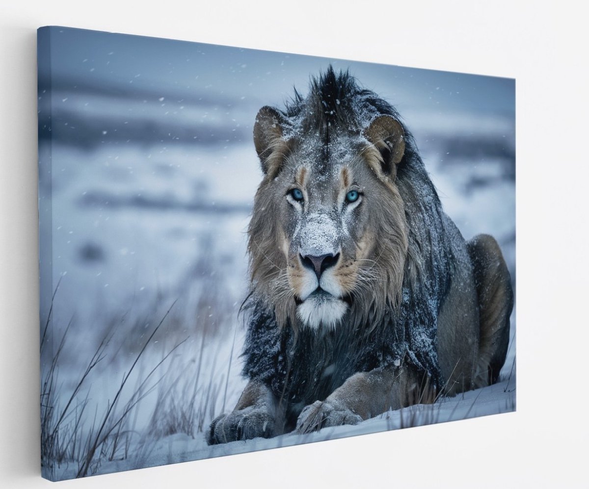 Saammp Canvas Schilderij - Leew in de sneeuw - Natuur - Dieren - 40x30 - Foto op canvas - Wanddecoratie - Muurdecoratie Woonkamer - Slaapkamer decoratie - Canvas Print Multicolor