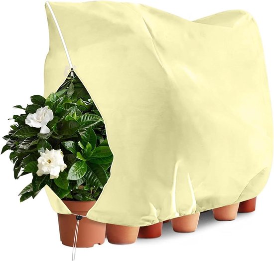 Beschermhoes voor planten, boom in de winter, struikdeken