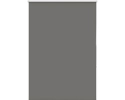 vidaXL - Rolgordijn - verduisterend - 95x175cm - stofbreedte - 90,7 - cm - polyester