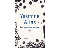 Omslag van Een nagelaten verhaal