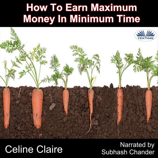 How To Earn Maximum Money In Minimum Time - cover