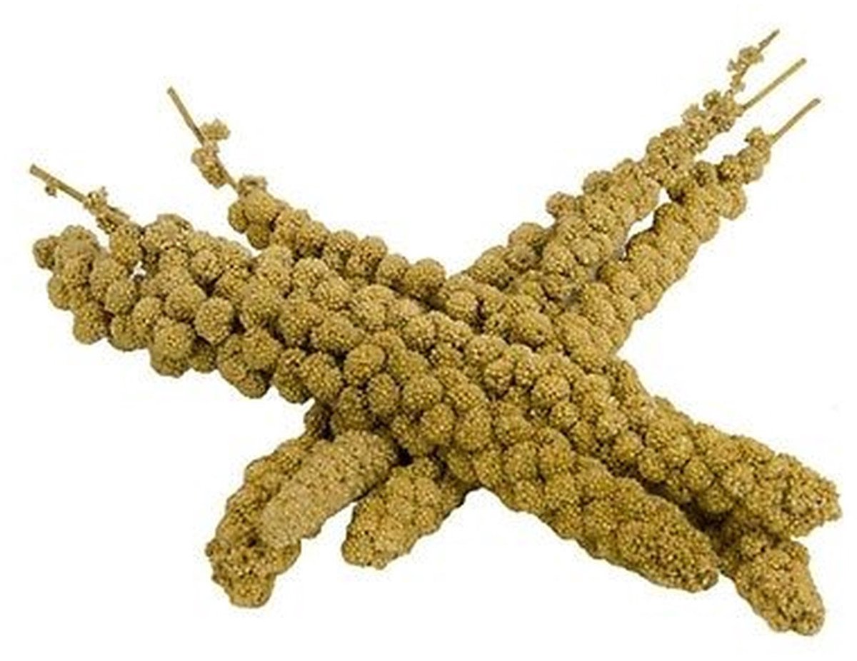 Vossenstaart gierst Chinees, geel handgeplukt - 15kg