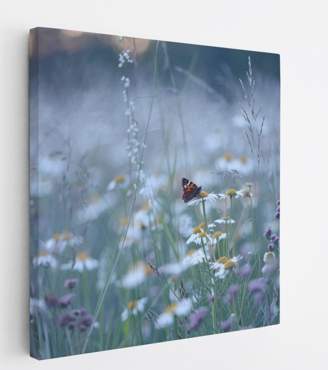 Saammp Canvas Schilderij - Vlinder in bloemenveld - Dieren - Natuur - 60x60 - Foto op canvas - Wanddecoratie - muurdecoratie Woonkamer - Slaapkamer decoratie - Canvas Print Multicolor