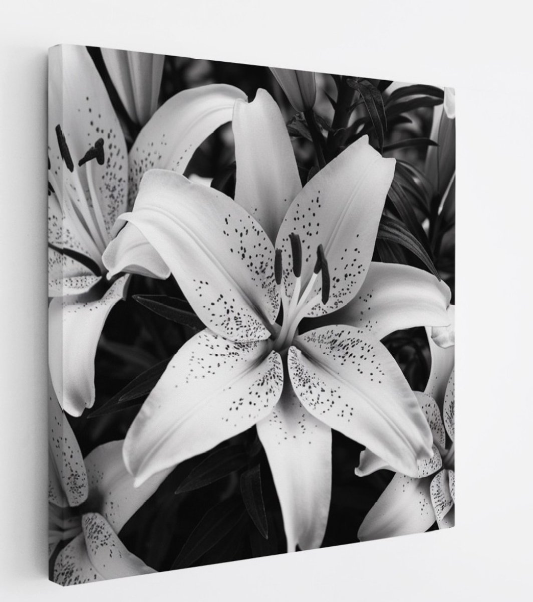 Saammp Canvas Schilderij - Bloemen - Witte Lelies - Natuur - Abstract - 100x100 - Foto op canvas - Wanddecoratie - Muurdecoratie Woonkamer - Kantoor Decoratie Multicolor