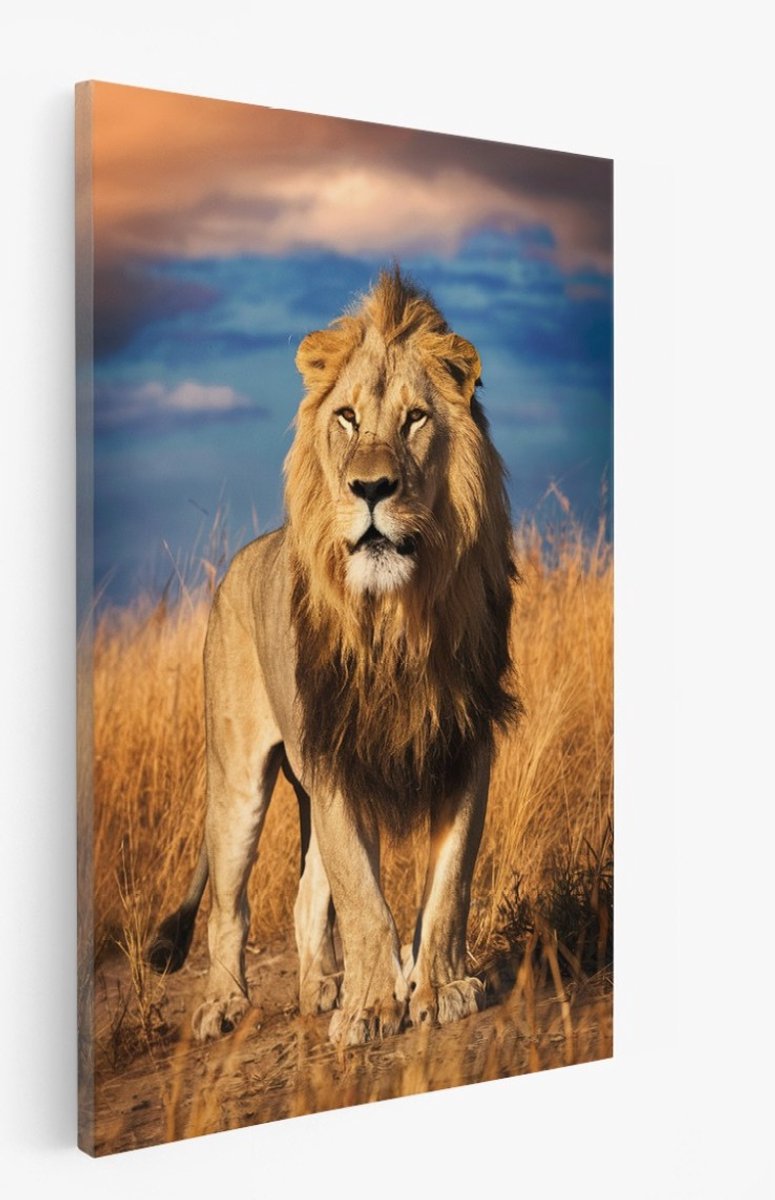 Saammp Canvas Schilderij - Leeuw in savanne - Natuur - Dieren - 60x90 - Foto op canvas - Wanddecoratie - Muurdecoratie Woonkamer - Slaapkamer decoratie - Canvas Print Multicolor