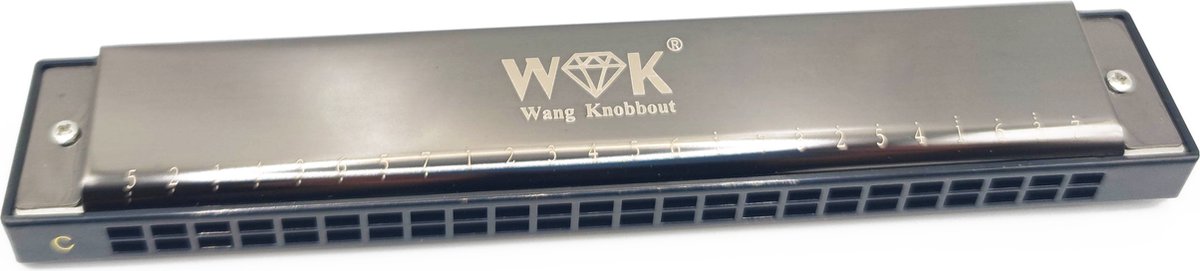 WK 24 toetsen mondharmonica's - mondharmonica c-mondharmonica voor volwassenen en kinderen-tremolo Harmonica-zwart