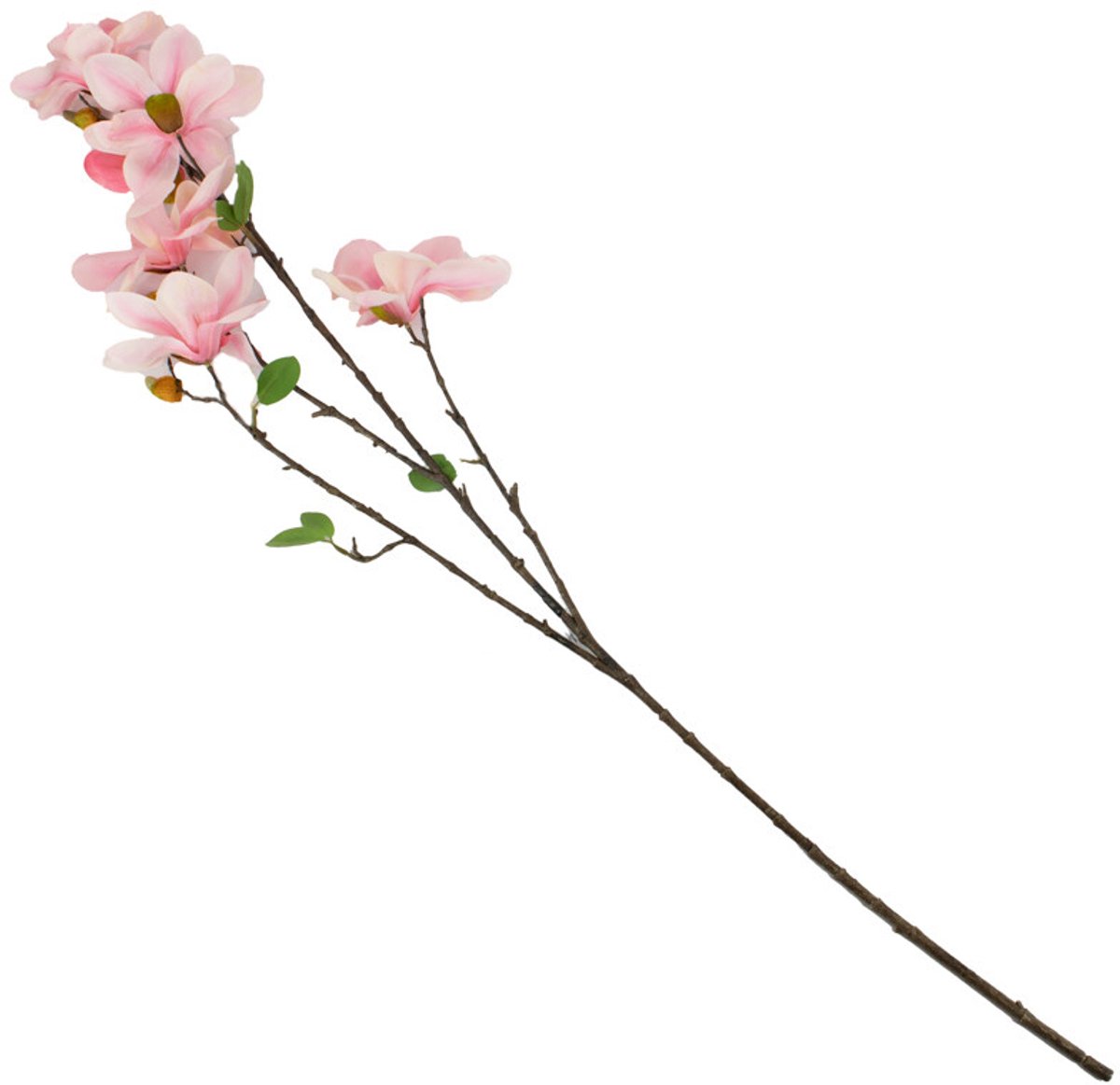 homebound by ky Kunsttak magnolia XL roze | kunsttak