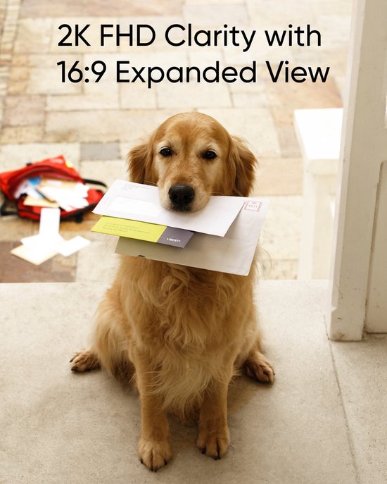 Gouden retriever met brieven in zijn bek, zittend op een trap. Tekst: 2K FHD Clarity with 16:9 Expanded View.