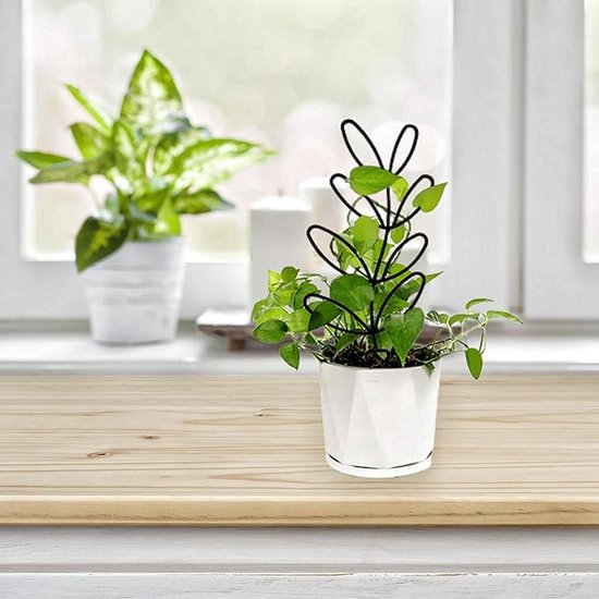 Zwarte, metalen plantensteun in bladvorm, ondersteunt een groene klimplant in een witte pot op een houten tafel.