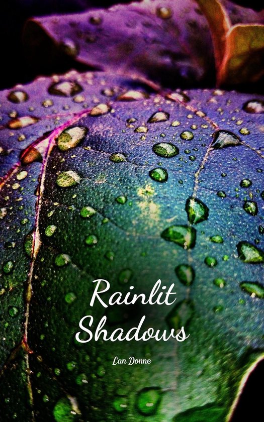 Rainlit Shadows