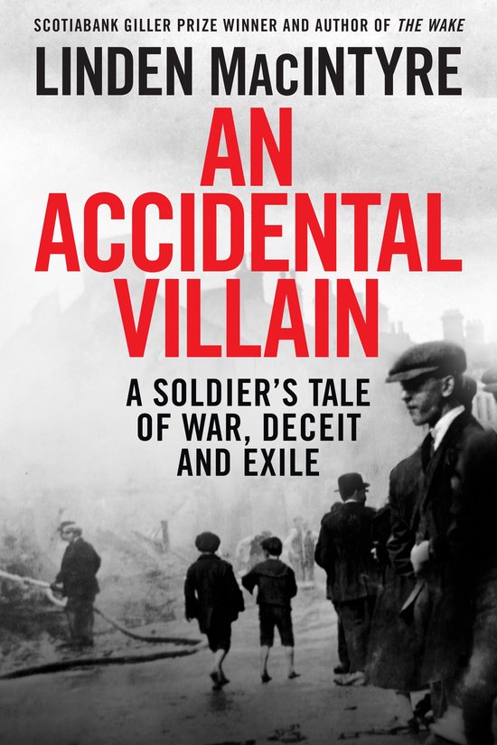 An Accidental Villain - cover