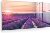MuchoWow® Glasschilderij 120x60 cm - Schilderij acrylglas - Lavendel - Paars - Bloemen - Foto op glas - Muurdecoratie woonkamer - Wanddecoratie slaapkamer - Schilderijen