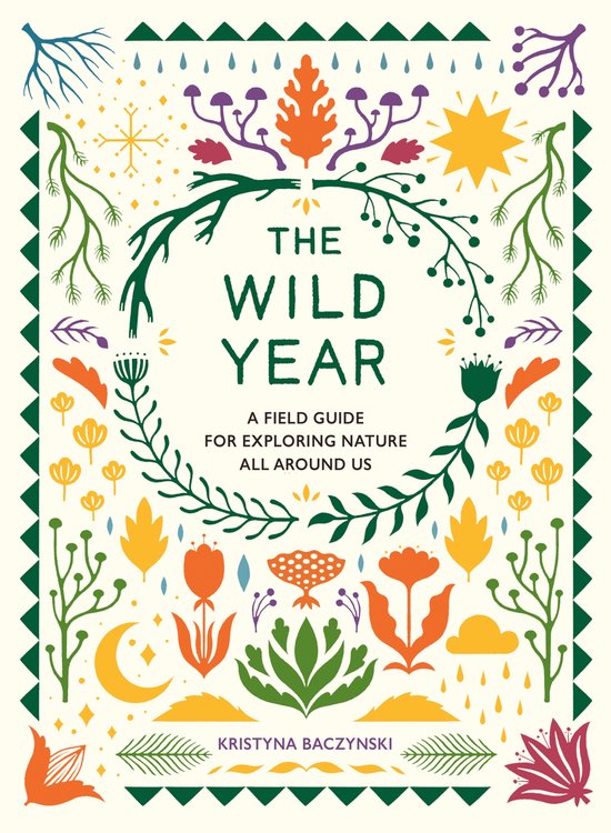 The Wild Year - cover