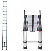 Bol.com Aluminium Telescopische Ladder Tavien - Vouwladder met Antislipvoeten - Multifunctionele Verlenging - Rechte Ladder voor... aanbieding