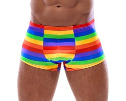Kleurrijk Regenboog Shorts Mannen