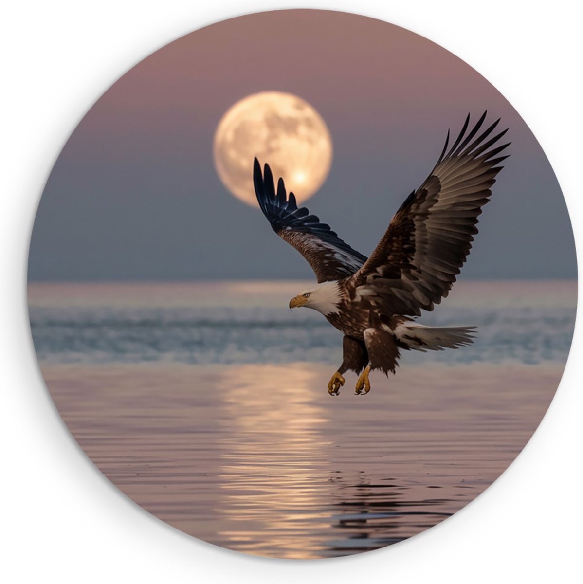 Saammp Muurcirkel Hout - Zeearend met volle maan - Dieren - Bloemen - Ø 30 - Wandcirkel - Wanddecoratie Cirkel - muurdecoratie Woonkamer - Slaapkamer decoratie - Rond Schilderij