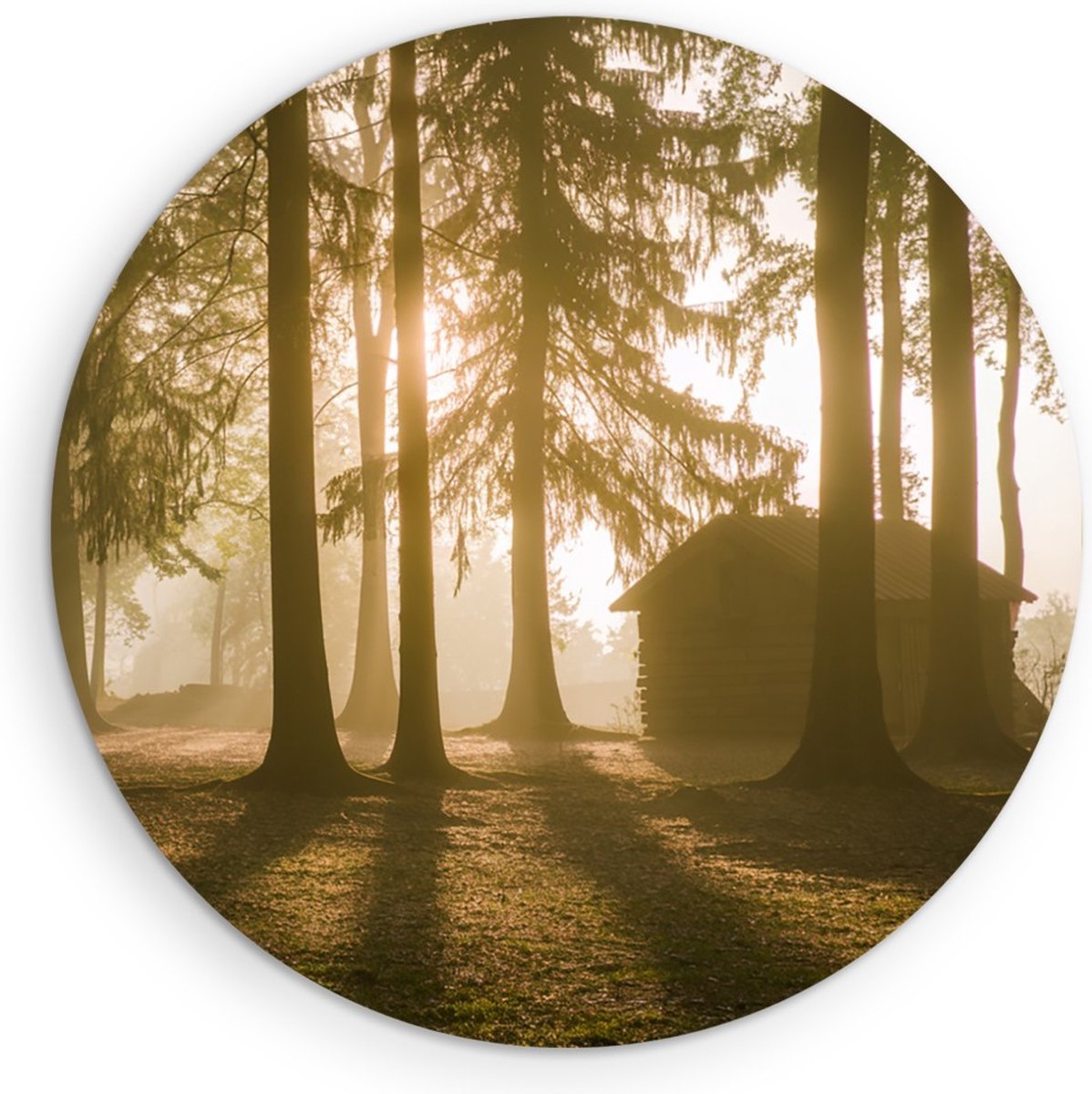 Saammp Forex Muurcirkel - Huis - Grote Bomen - Landschap - Natuur - Ø 50 - Wandcirkel - Wanddecoratie Cirkel - Muurdecoratie Woonkamer - Slaapkamer decoratie - Rond Schilderij